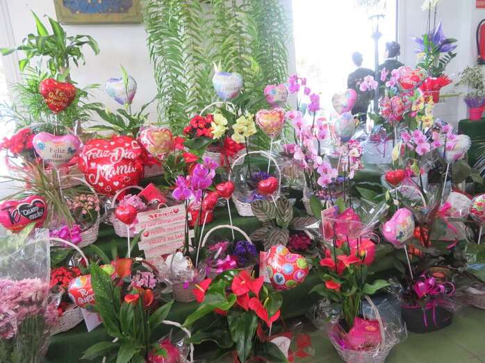 Interior de la floristería de San Juan/TA.