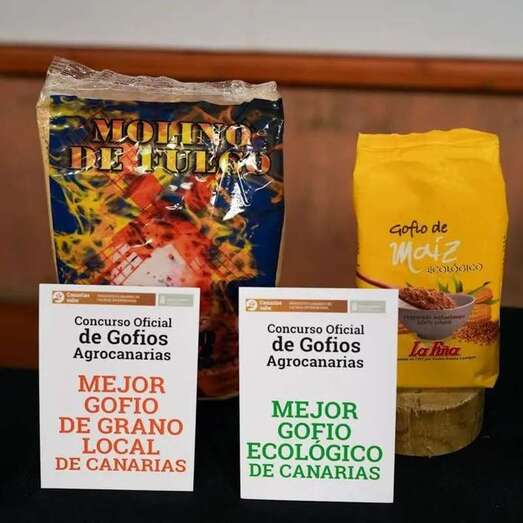 El gofio teldense logró una Gran Medalla de Oro como mejor de millo / TA