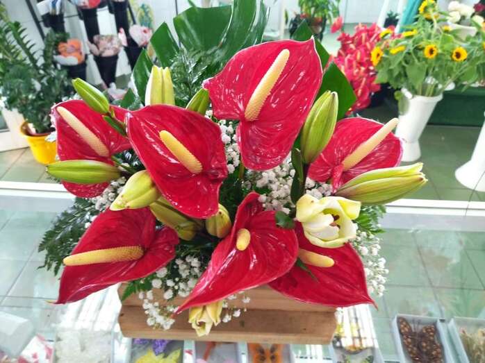 Uno de los centros preparados por Siempreviva/TA.