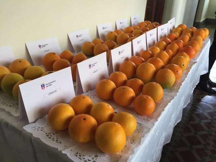 El evento tendrá lugar el próximo 18 de diciembre en la plaza de San Juan / TA