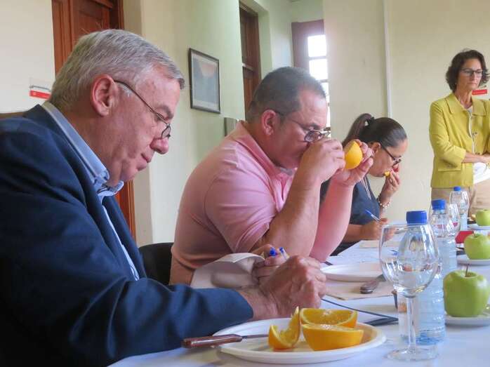 Miembros del jurado catando las naranjas de Telde/TA.