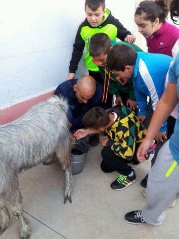 Alumnos ordeñando un animal durante el taller (Foto TA)