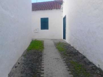 Trabajo presentado por Adrián Martel (Foto Adrián Martel)