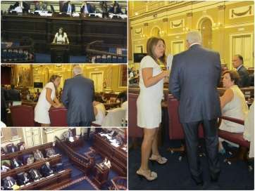 Carmen Hernández, este martes, en el Parlamento canario (Foto TA)