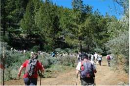 Imagen de archivo de una ruta de senderismo del CEPA Jinámar (Foto TA)