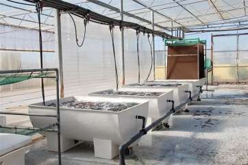 Instalaciones del BEA en Taliarte-Telde (Foto TA)