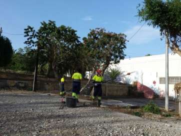 Operarios durante los trabajos (Foto TA)