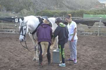 Imagen de archivo de una sesión de terapia con caballos en Telde (Foto TA)