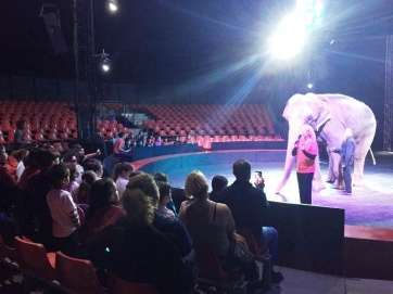 Alumnos atienden las explicaciones de una domadora de elefantes (Foto TA)