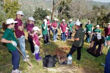 Imagen de archivo de una campaña de reforestación de Foresta (Foto TA)