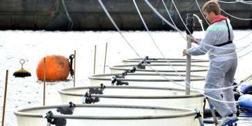 Imagen los laboratorios flotantes instalados en el muelle de Taliarte (Foto TA)