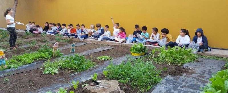 Alumnos en el huerto ecológico (Foto TA)