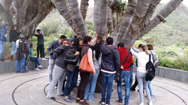 Alumnos juntos a un gran drago canario (Foto TA)