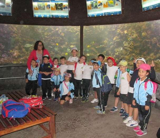 Los pequeños disfrutaron de lo lindo en esta excursión (Foto TA)