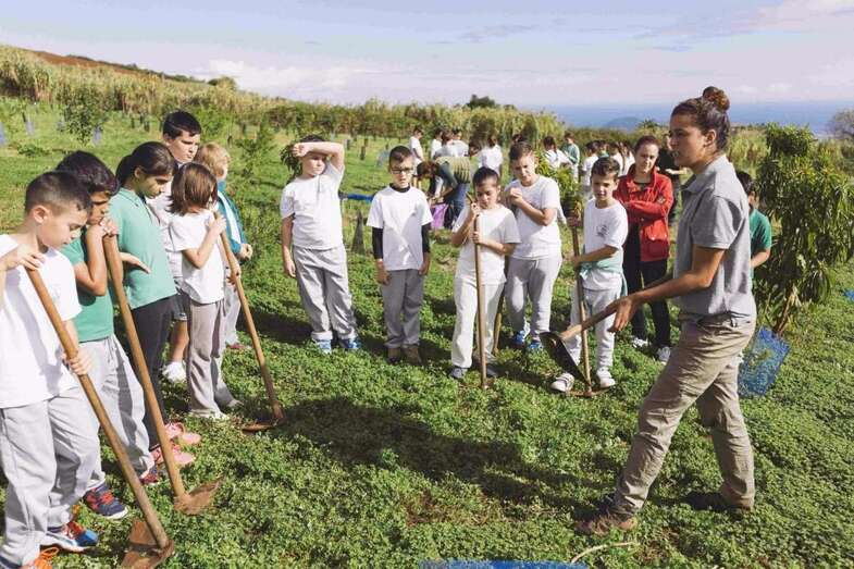 Imagen de archivo de una repoblación con escolares (Foto TA)
