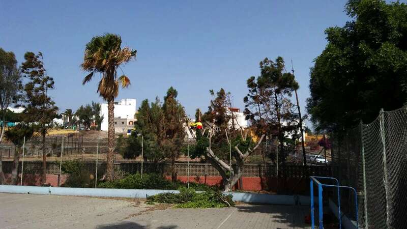 Trabajos de poda en el colegio de El Calero (Foto TA)