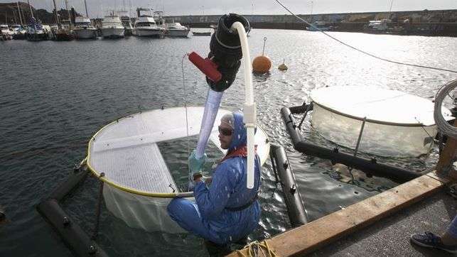 Contenedores de agua marina flotantes (mesocosmos) en los que el Centro Helmholtz de Oceanografía de Kiel, Alemania (Geomar), pretende probar las técnicas para un experimento en Taliarte (Foto EFE/QUIQUE CURBELO)