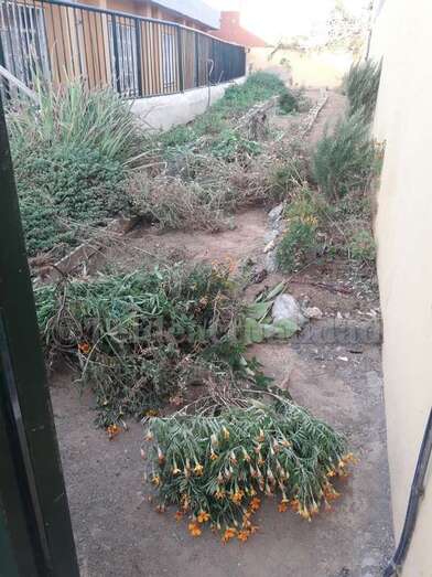 Destrozos ocasionados al huerto escolar Foto TA)