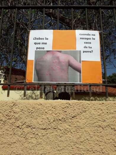 Carteles colocados en el muro denunciando la suciedad (Foto TA)