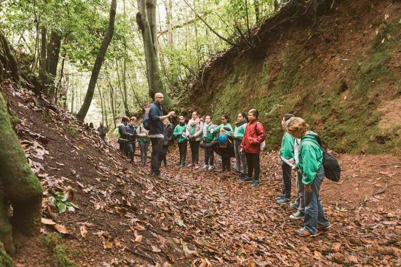 Actividad medioambiental en la finca de Osorio (Foto TA)