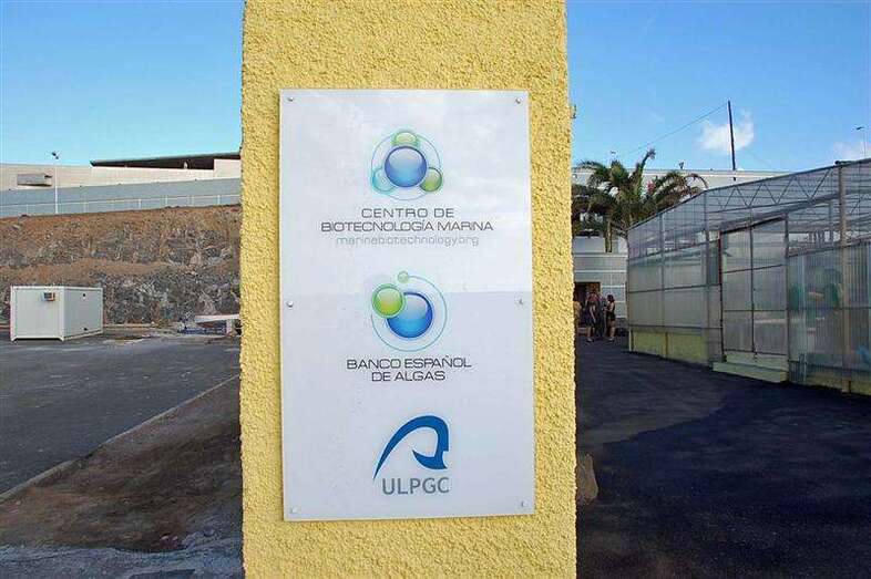 El Banco Español de Algas está en Taliarte, en la costa de Telde (foto TA)