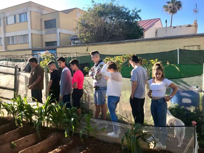 Grupo de alumnos durante la visita al huerto comunitario de Las Remudas (Foto TA)