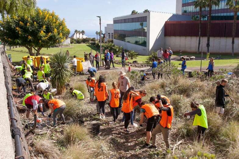 Imagen de archivo de alumnos limpiando un barranco (Foto TA)