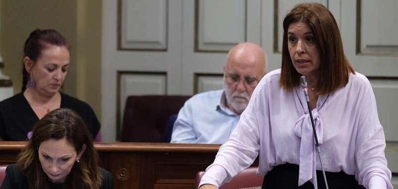 Imagen de archivo de Carmen Hernández en el Parlamento de Canarias (Foto TA)