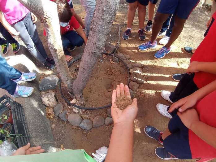 Imagen del proyecto/TA.