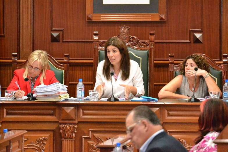 Carmen Hernández, ayer durante la sesión plenaria ordinario de mayo (foto TA)