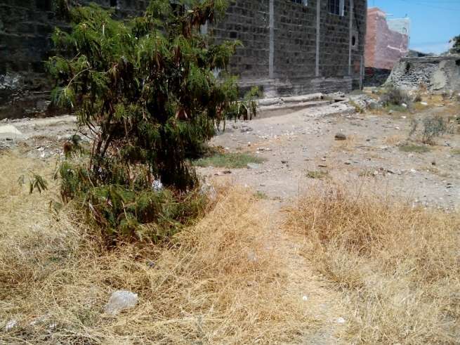 Imagen que presenta la zona de Arauz (Foto TA)