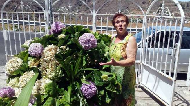 Las flores son donadas cada año por Pino López, vecina de Lomo Magullo (Foto TA)
