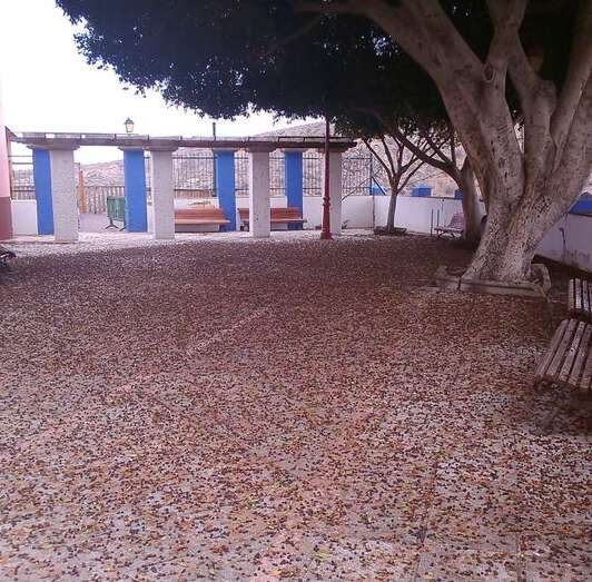 Estado de suciedad que presenta la plaza de la Higera C