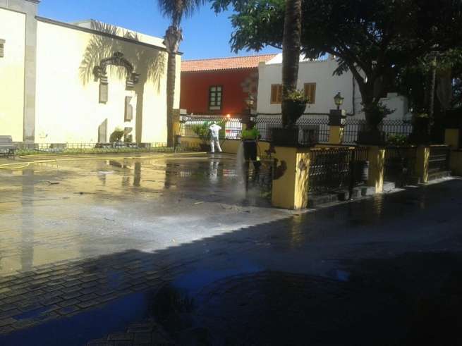 Operarios de Parques y Jardines actuando esta mañana en el Rincón Plácido Fleitas (Foto TA)