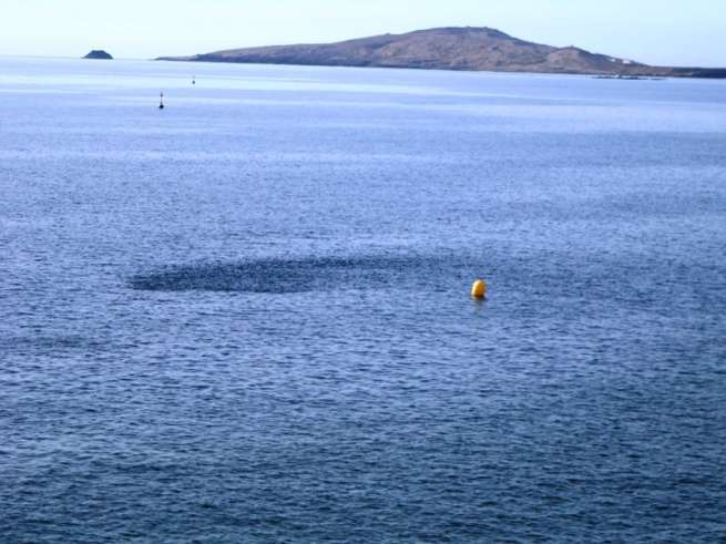 Banco de pesca en el litoral de Melenara (Foto Gumersindo Hernández)