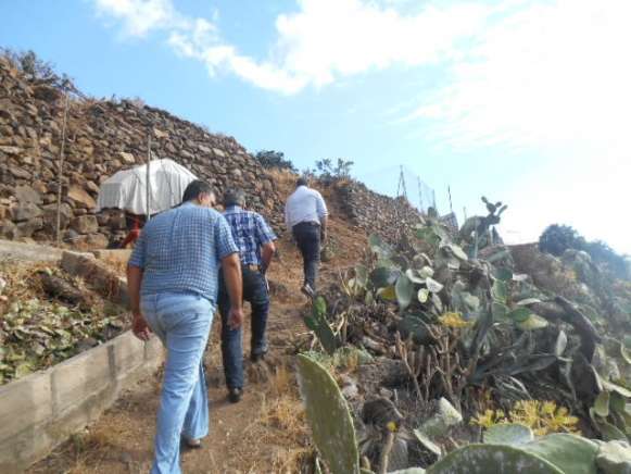 Visita a la zona donde se lleva a cabo la limpieza de caminos rurales (Foto TA)