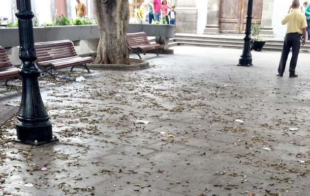 Estado de suciedad que presentaba este domingo la plaza de Los Llanos de Telde (Foto TA)