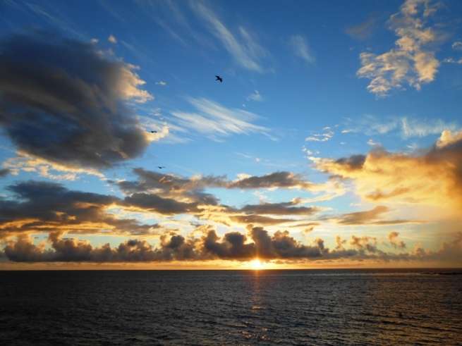 Imagen captada a primera hora de esta mañana en la costa de Telde (Foto Gumersindo Hernández)