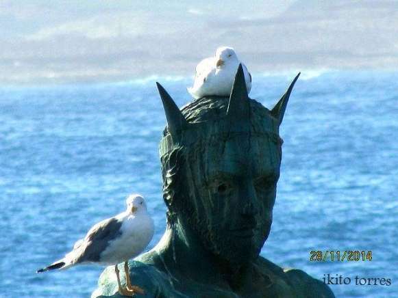 Dos gaviotas posadas en la escultura de El Neptuno (Foto Ikito Torres)