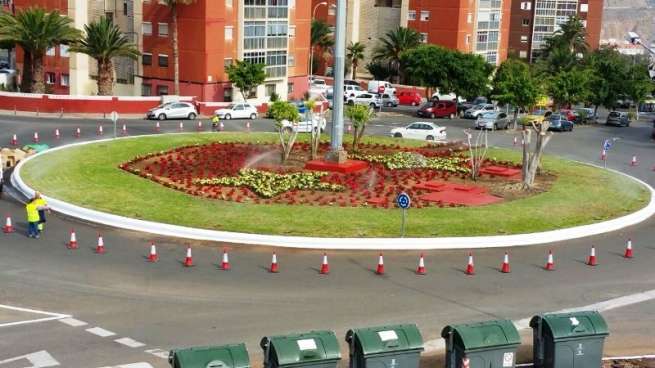Flores de Pascua en la zona de Jinámar (Foto TA)