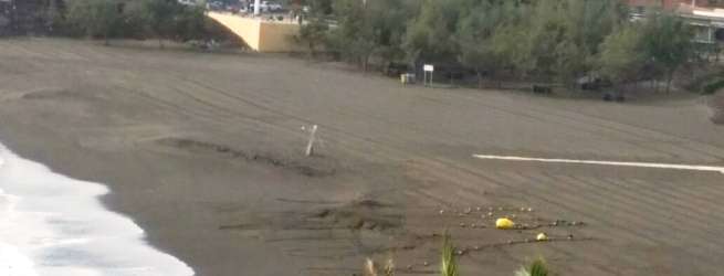 Boyas retiradas del mar (Foto TA)