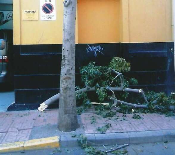 Las ramas del árbol, en el suelo (Foto Inma Perera)