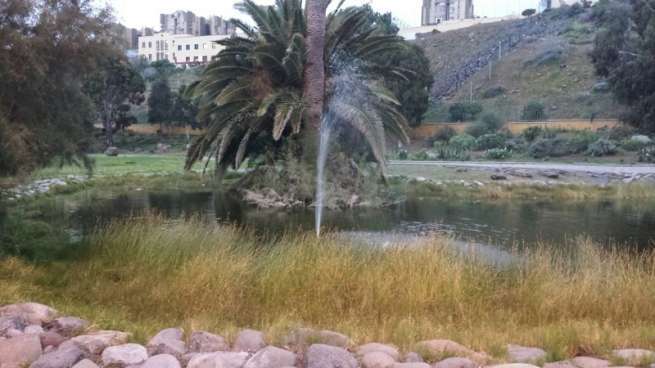 Una de los lagos del parque de las Mil Palmeras de Jinámar (Foto TA)