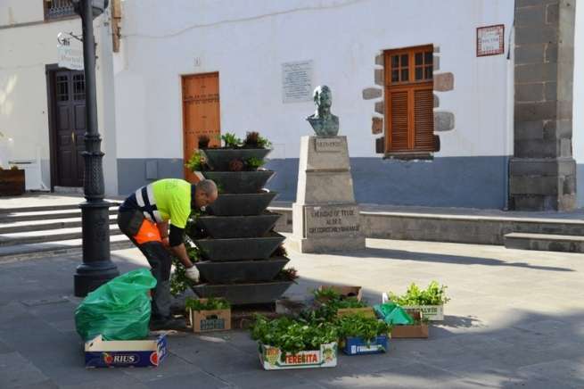 Operario de Parques y Jardines, esta mañana, en la plaza de San Juan (Foto TA)