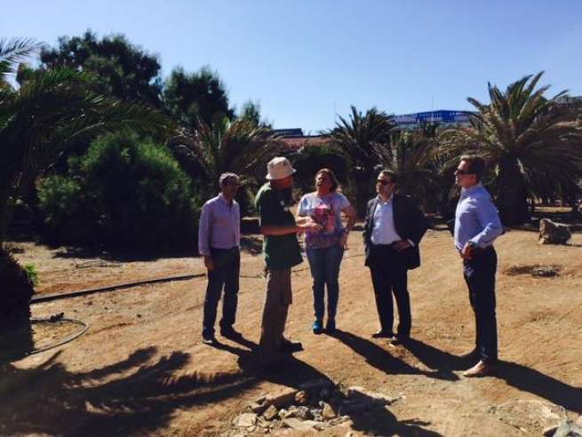 Momento de la visita de la alcaldesa de Telde, Mari Carmen Castellano, y de los representantes de Aguas de Telde al palmeral (Foto multimedia)