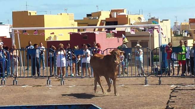 Imagen del concurso celebrado esta mañana en El Caracol (Foto TA)
