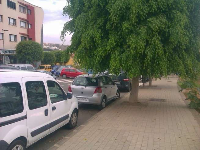 Árboles con ramas bajas en una calle de Arnao que dificultan el tránsito de las personas por las aceras