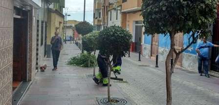 Imágenes de los trabajos (Foto TA)