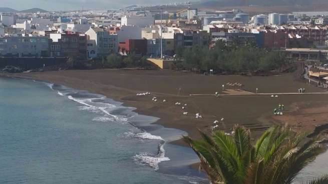 Limpieza, este lunes, de la playa de Melenara (Foto TA)