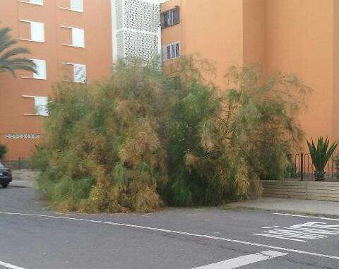 La caída se produjo poco después de este mediodía (Foto TA)